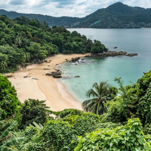 Urwald mit Strand am Meer